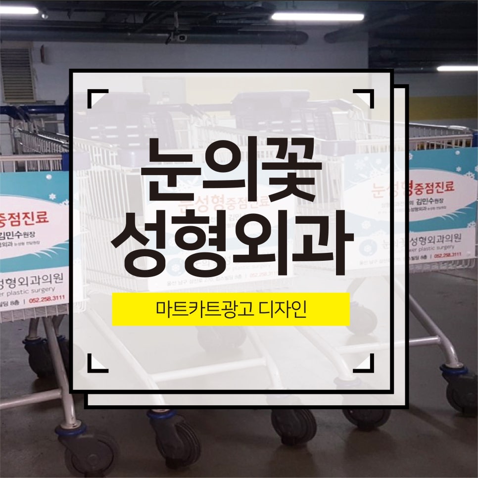 피알그리다 이미지