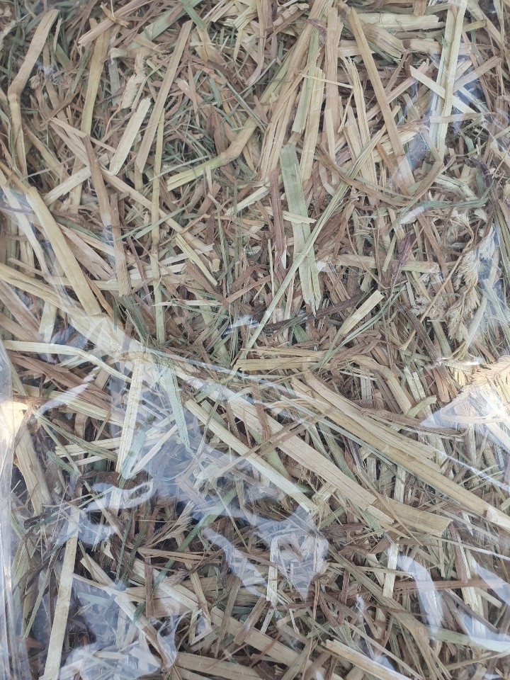 (주)에스에스플러스 이미지