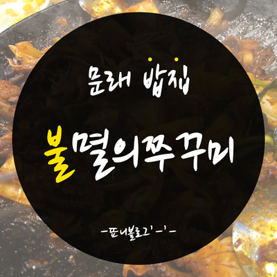 불멸의쭈꾸미 이미지
