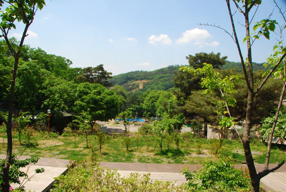 광릉분재예술공원 캠핑장 이미지
