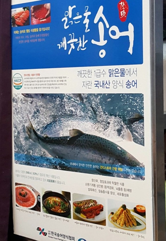 항아리짜글이송어비빔회 이미지
