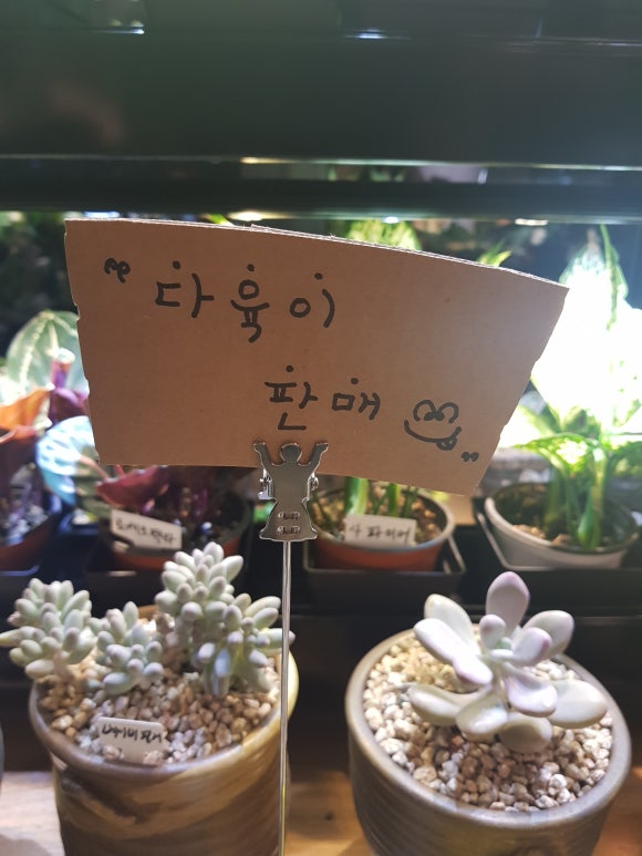 카페;랜 이미지