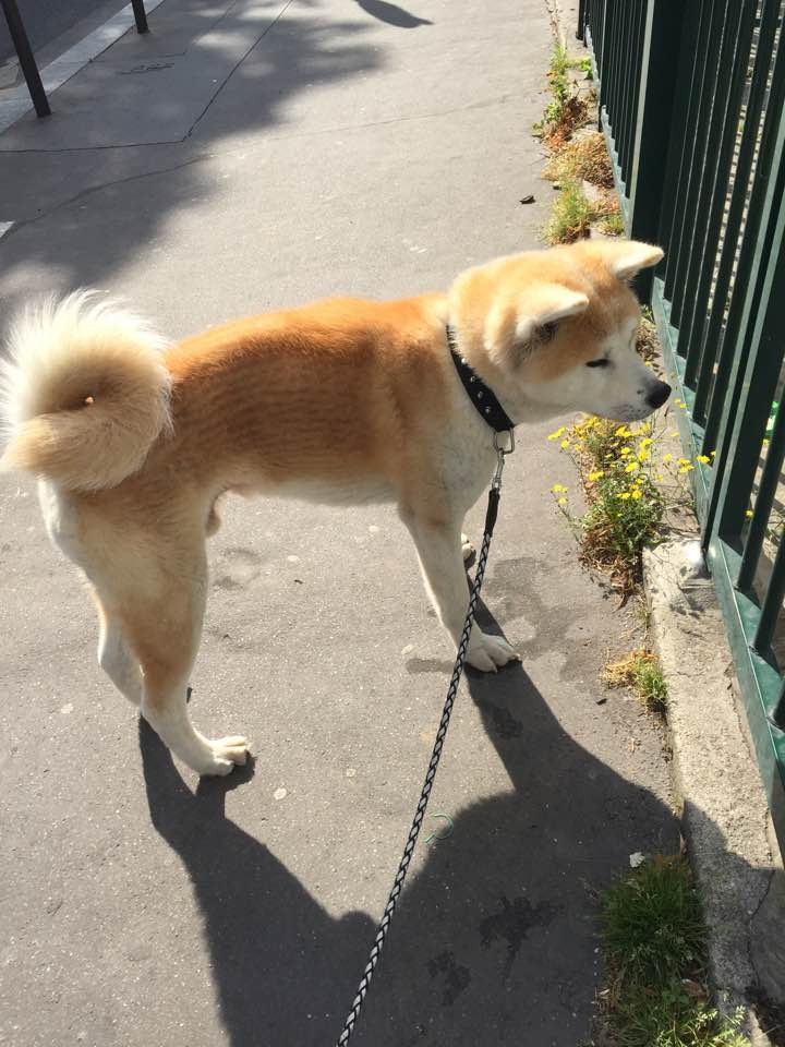 우리좋은민박 이미지