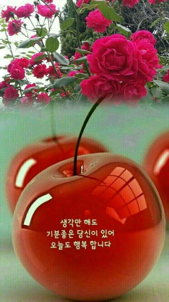 다빈스 이미지