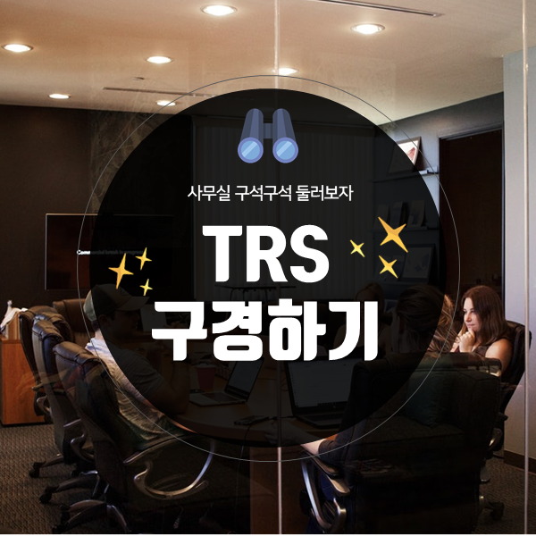 더라이징스타헤딩 이미지