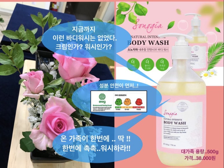 소노지아 이미지