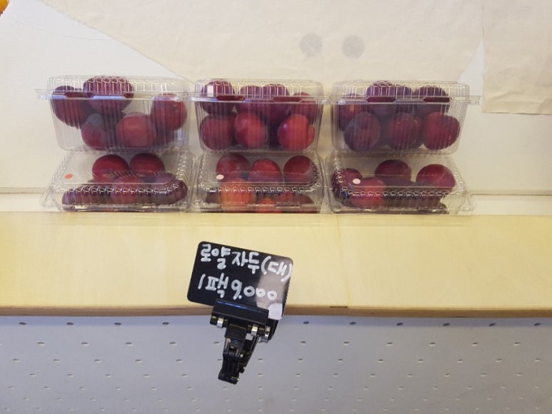 달쥬(DALJU) 이미지