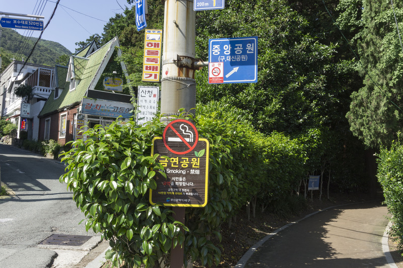 나무병원건강한숲 이미지