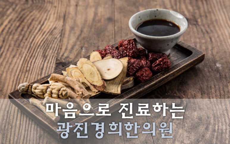 광진기전 이미지