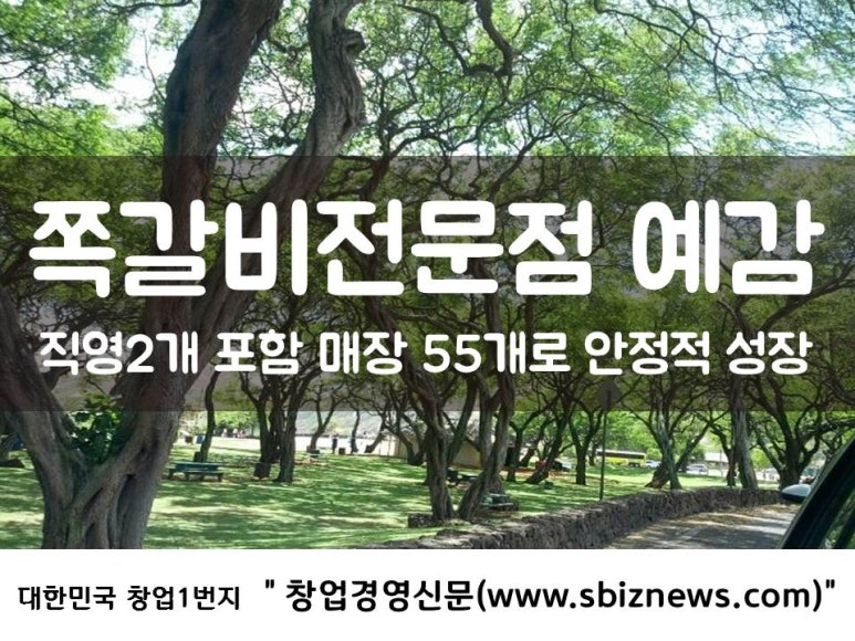 와이지푸드주 이미지