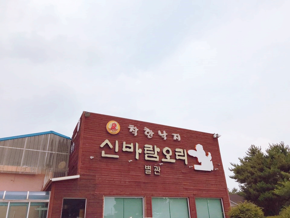 신바람오리 이미지