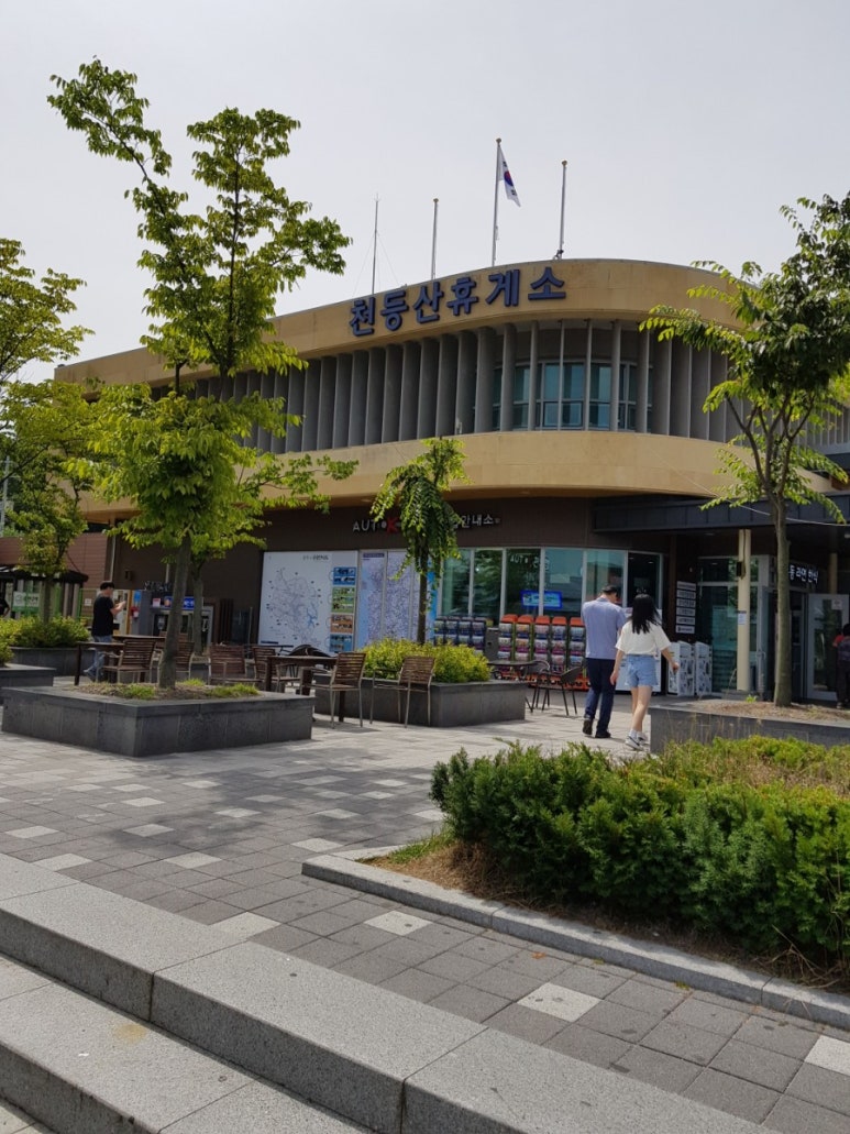 모다들엉여행사 이미지