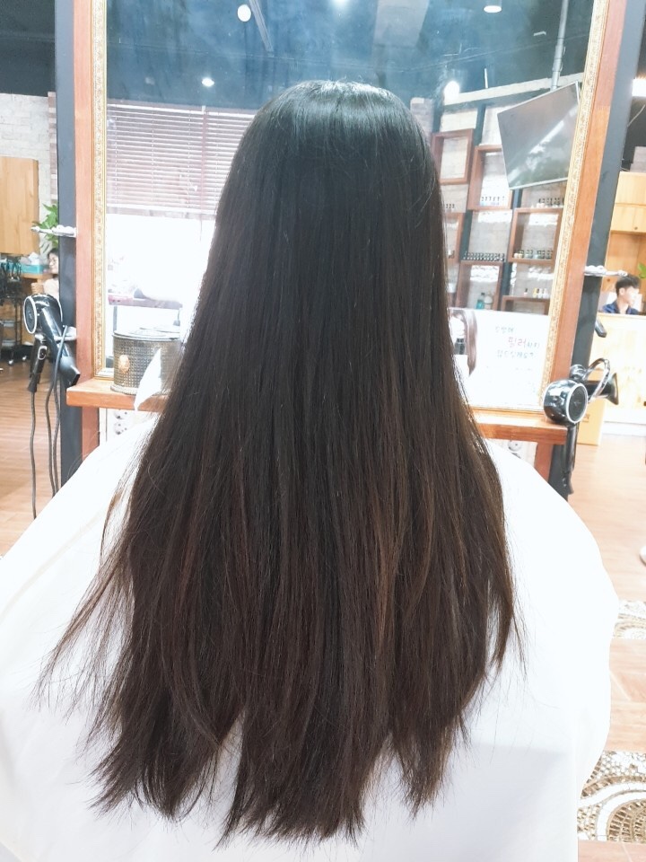 시저리 이미지