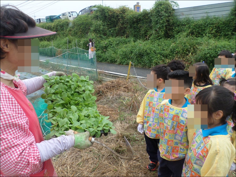 혜성 유치원 이미지