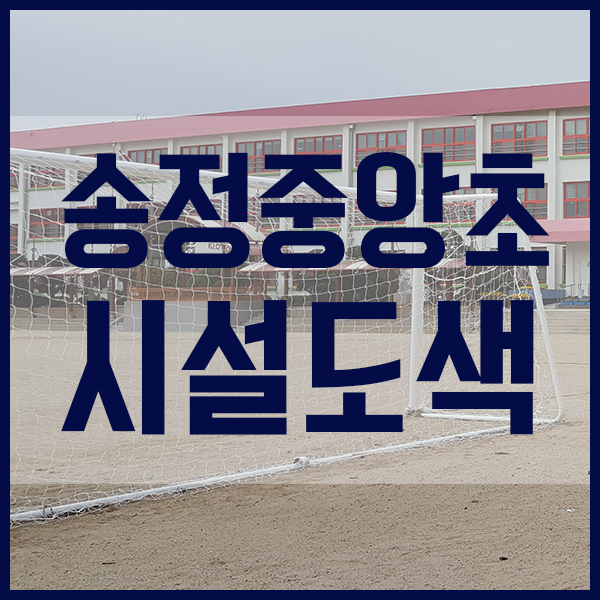 중앙체육사 이미지