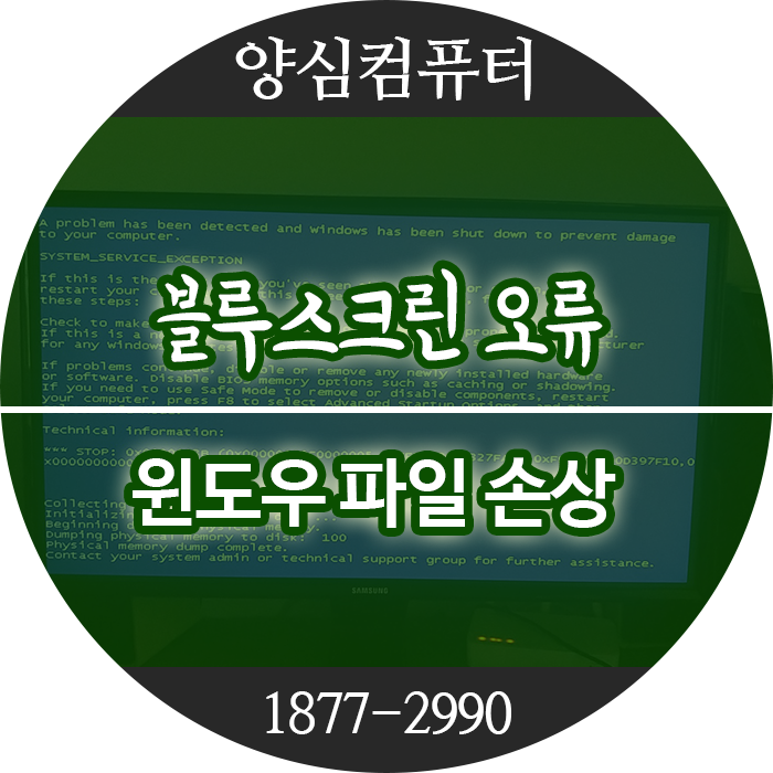 블루컴퓨터 이미지