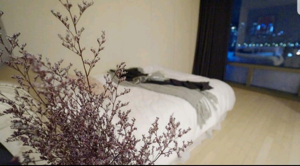 파인스테이 이미지