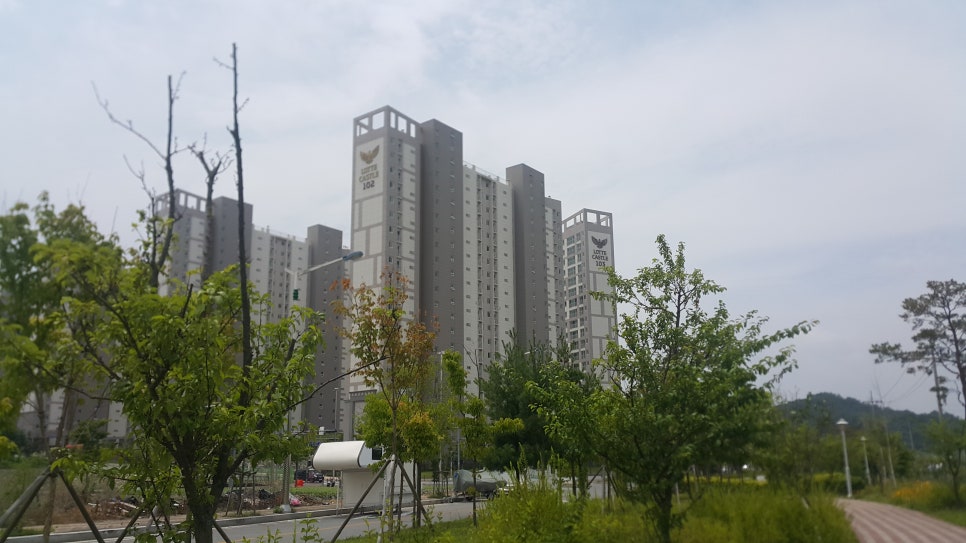 제천자동차운전전문학원 이미지