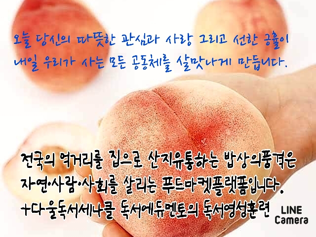 다울에듀 이미지