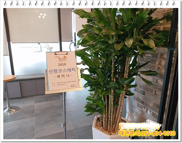 선향코스메틱 이미지