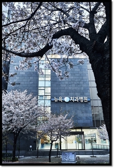 뉴욕100세치과 이미지