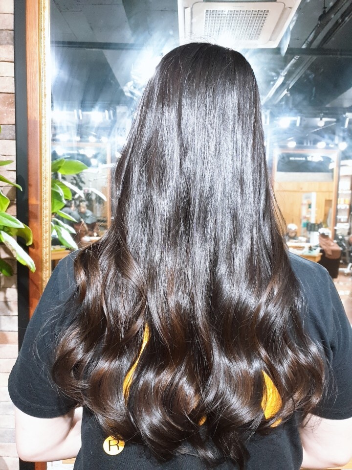 시저리 이미지