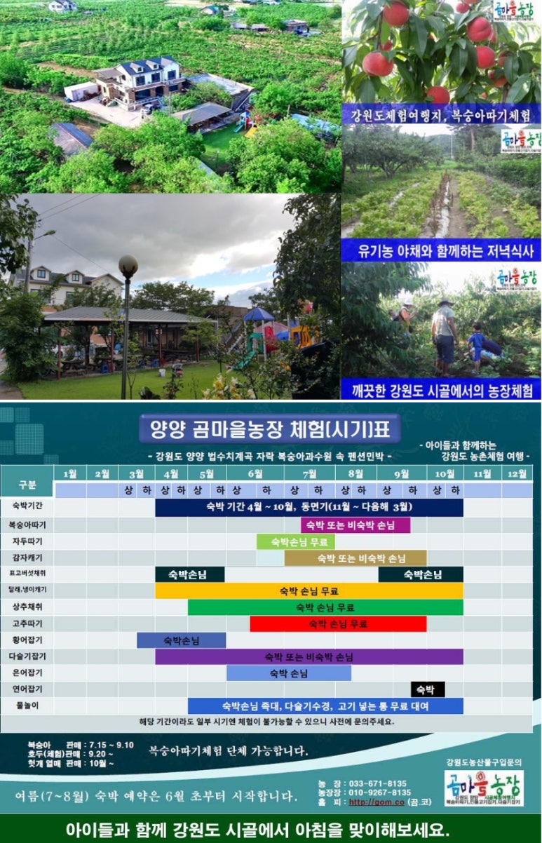 곰마을민박 이미지
