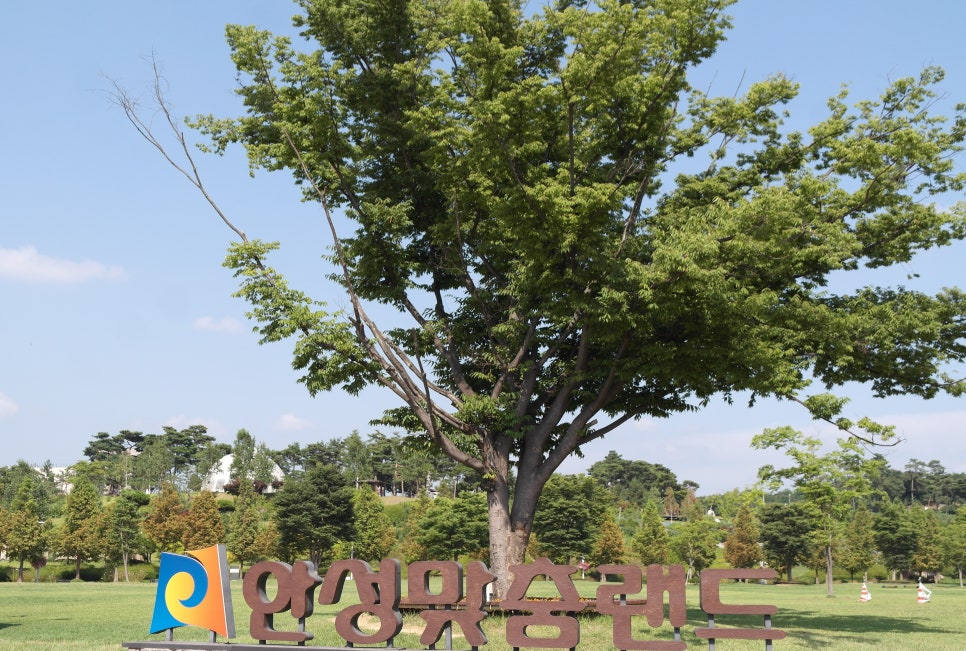 안성맞춤캠핑장 이미지