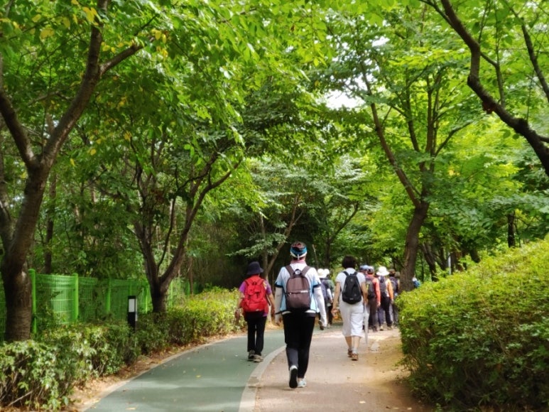 성석삼거리(고봉로) 이미지