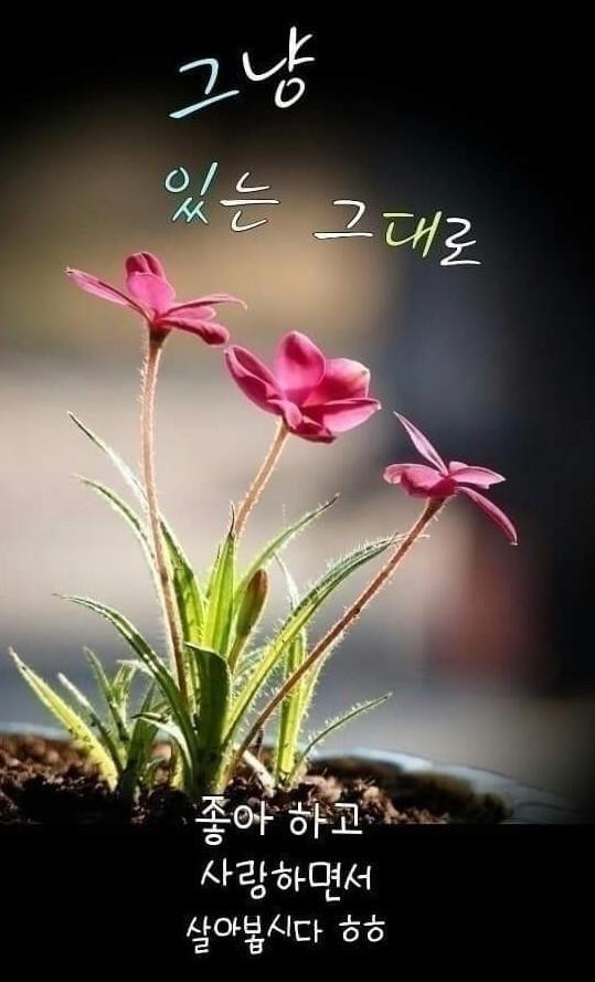 행복세탁소 이미지