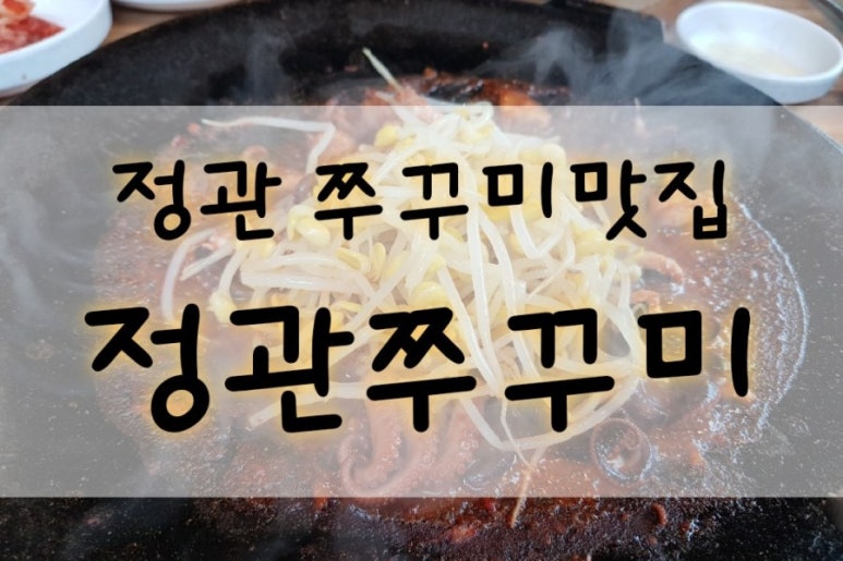 정관 쭈꾸미 이미지