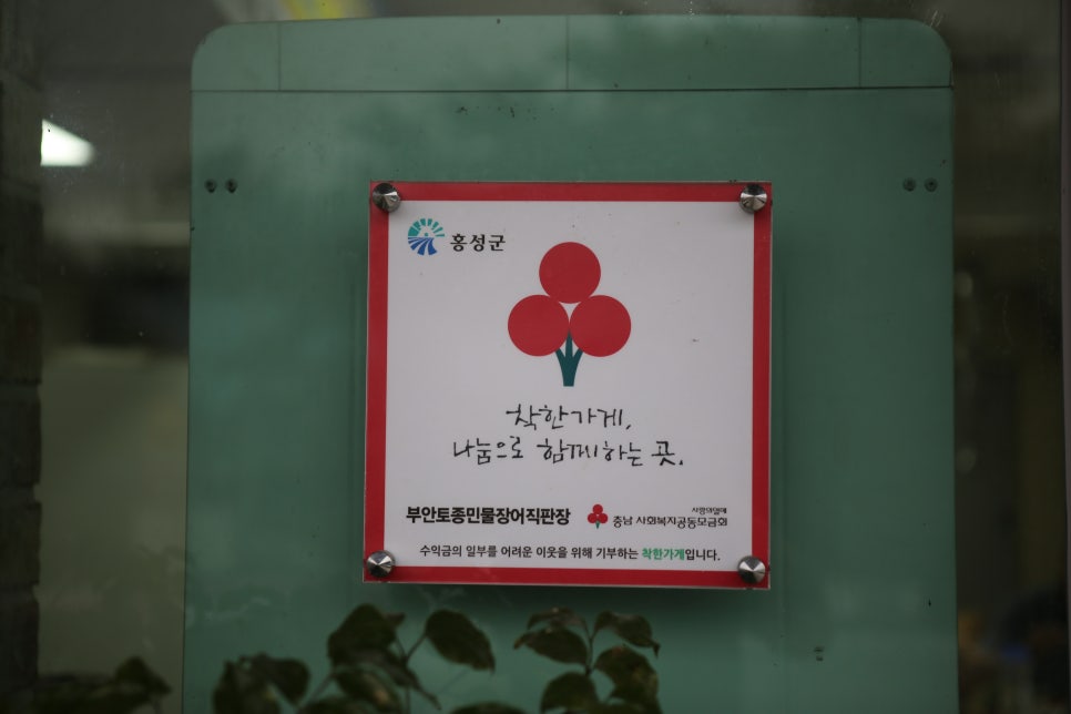 부안토종민물장어 이미지