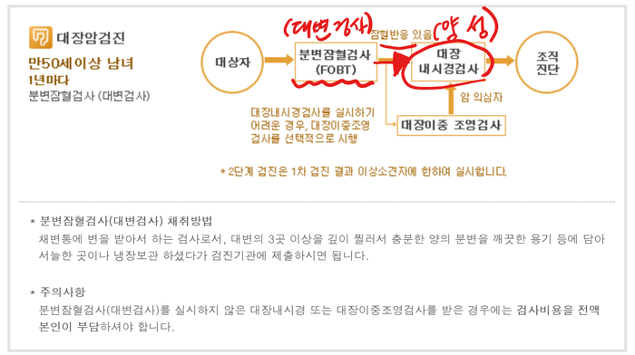 성모속튼튼내과 이미지
