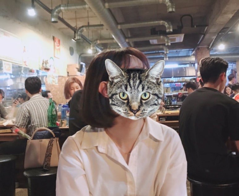 돼지카센터 이미지