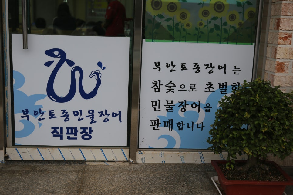 부안토종민물장어 이미지