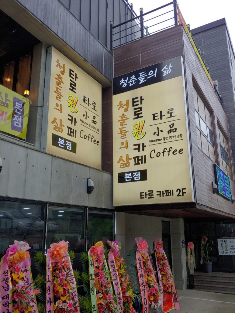 타코퀸 이미지