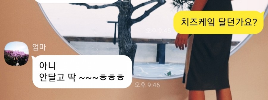 대성다방 이미지