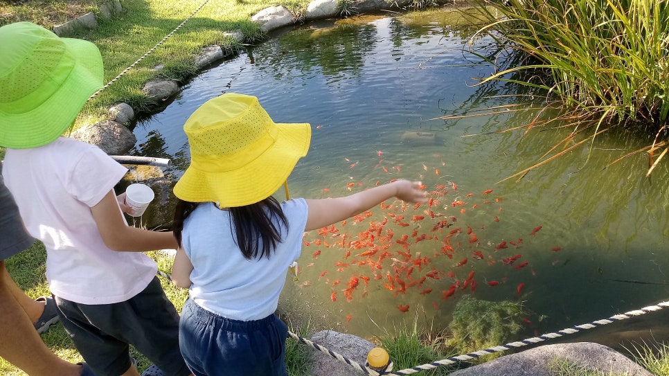 덕산수목원 이미지