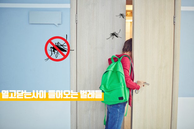 두일인테리어 이미지