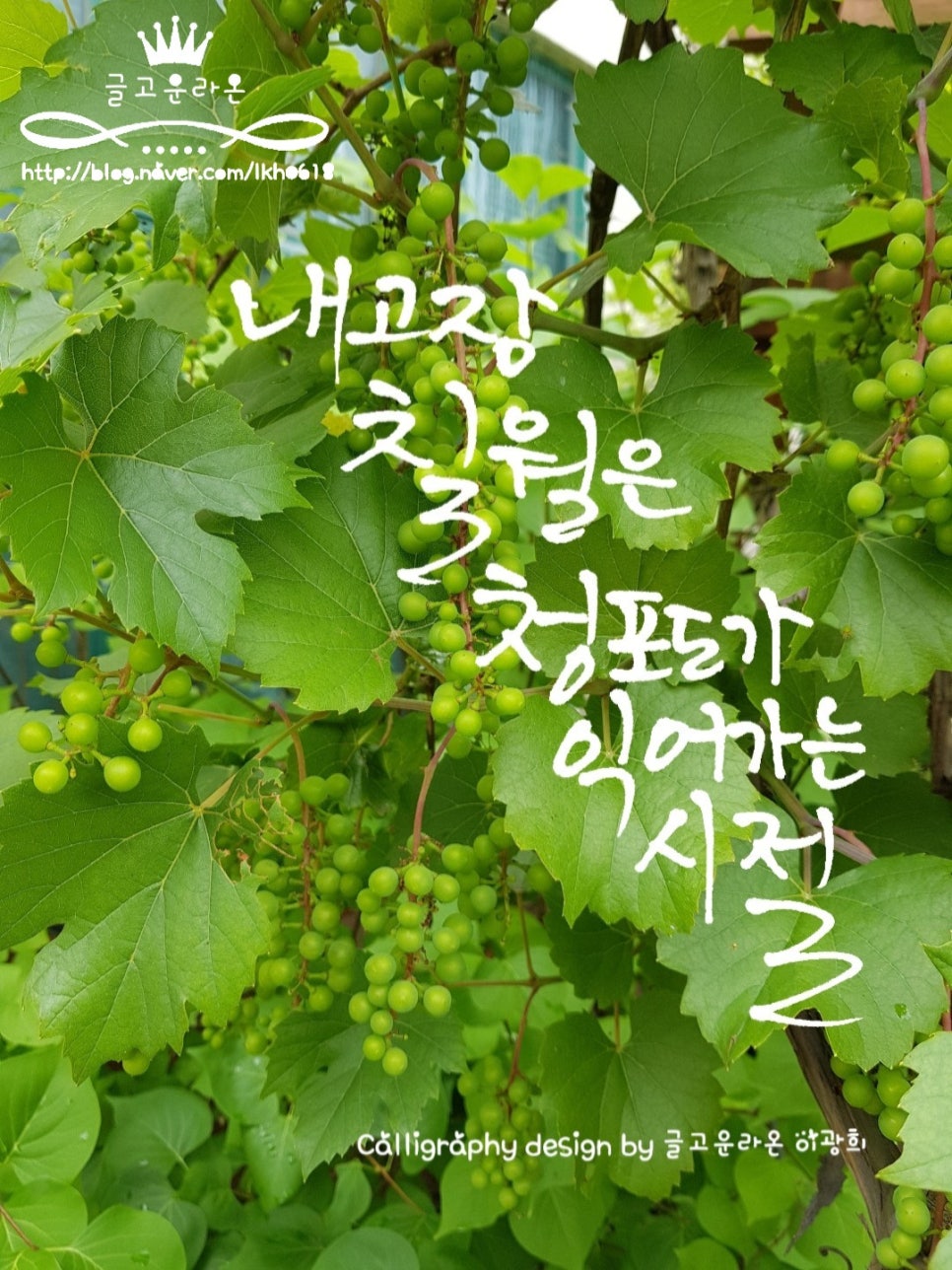 글라온캘리그라피 이미지