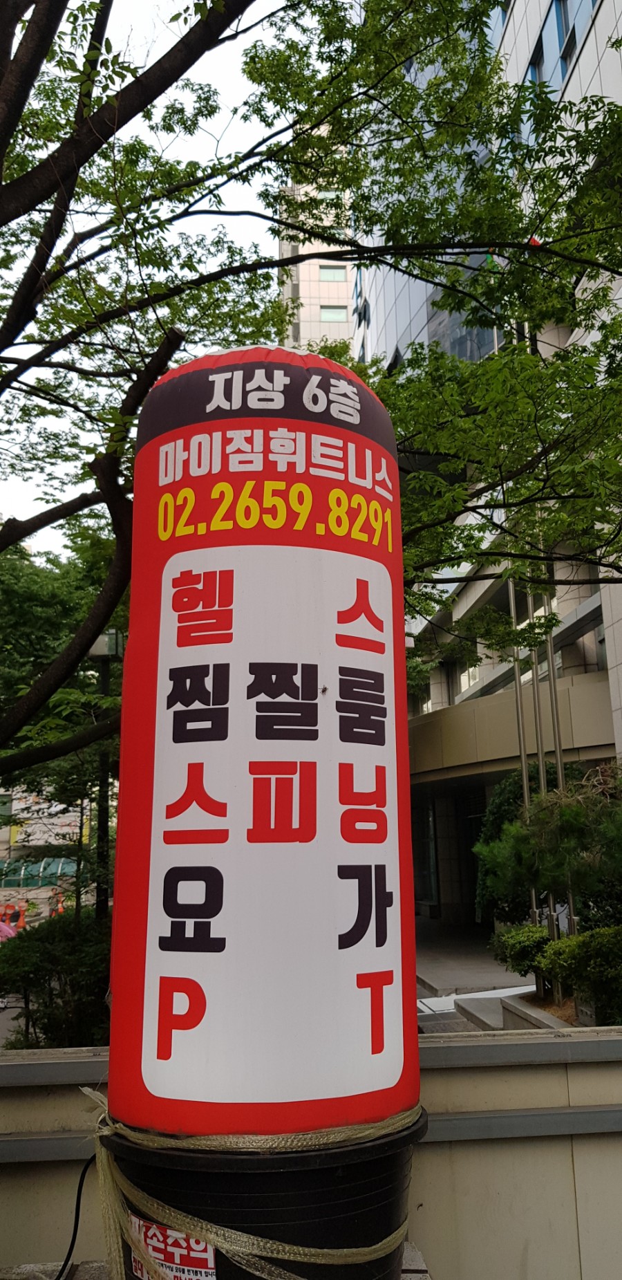마이짐휘트니스 이미지