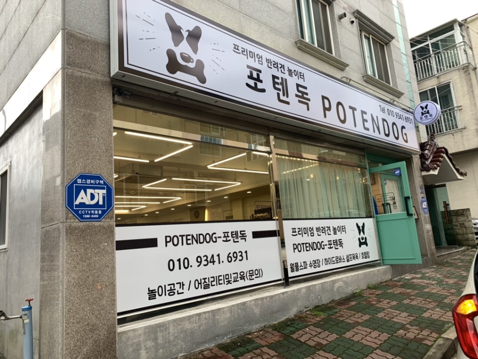 포텐슈 이미지