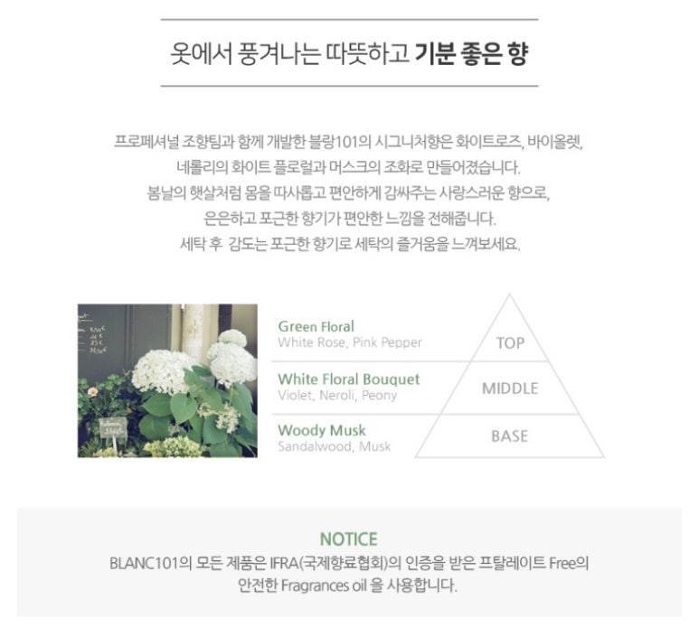워시블랑 이미지