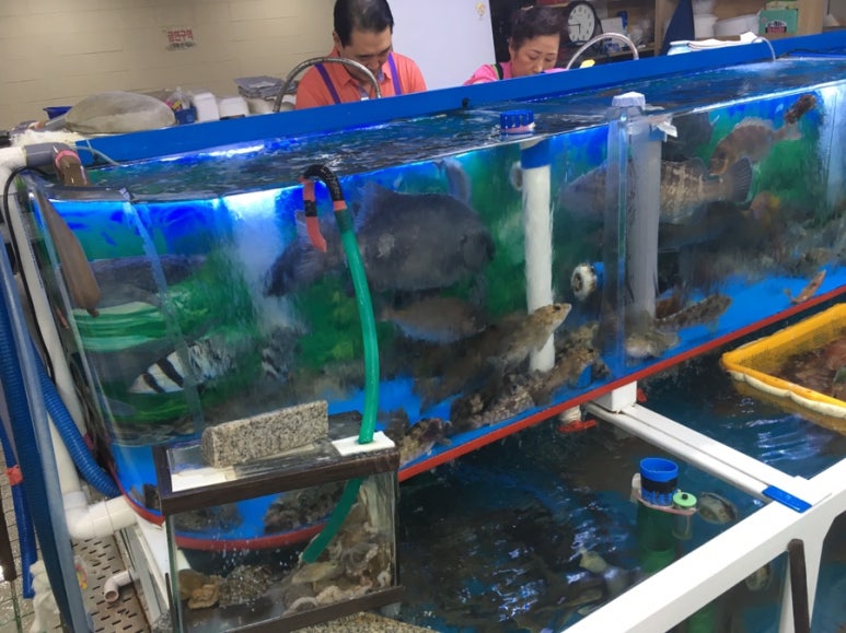 광선회센타 이미지