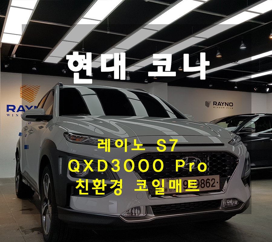오토스타일레이노 이미지