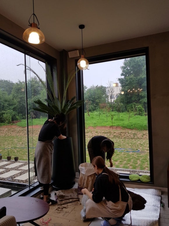 디자인 봄날 이미지