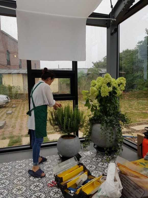 디자인 봄날 이미지