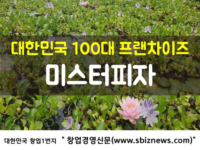 홀리카홀리카홈플러스 이미지