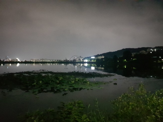 참사랑코다리 이미지