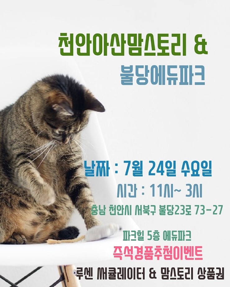 마켓프리24 이미지